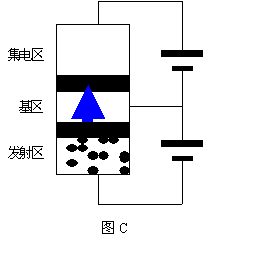 图C