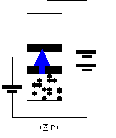 图D